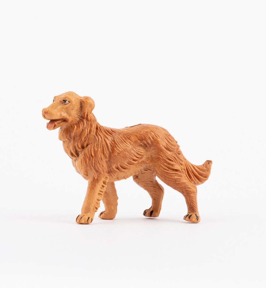 Creche for best sale dogs